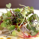 エピセ - 隠れて黄色い切片がチョリソー。 薄いけど塩とスパイスが力強く存在感あり。 こういう組み合わせがフランス料理らしい。