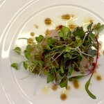 エピセ - 前菜は青森産のアイナメ。 地味ですがしっかり高級魚です。 マイクロリーフとドット状のソースが美しい。