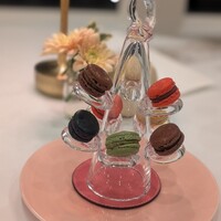 メゾン フジヤ ハコダテ - 