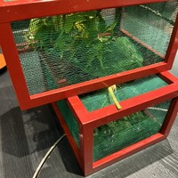 神戸吉兆 リーガロイヤルホテル店 - 