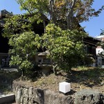 古民家焼肉 古登里 - 中庭通って