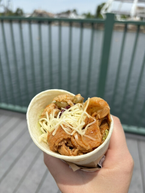 Universal Studio Japan Food Cart photo 3