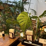 とろけるハンバーグ 福よし - 