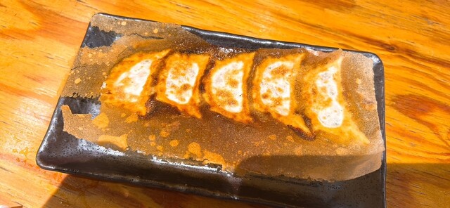 Nikujiru Gyoza Taishu Sakaba Pitari