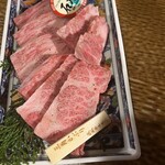 肉の変態集団 疾風ホルモン - 