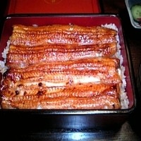 鰻 十和田 - 