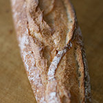 シニフィアン シニフィエ - バゲット・ドゥ・ジュール