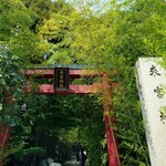 トラットリア テンポ ドーロ - 