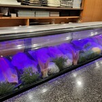 浦正鮨 明石本店 - 