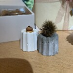 テラス ダニエル - 