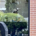 TRUFFLE DONUT  熊本菊陽店 - 