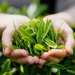 和牛焼肉DAMONDE - 