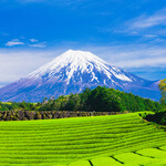 和牛焼肉DAMONDE - 