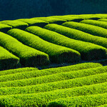 和牛焼肉DAMONDE - 