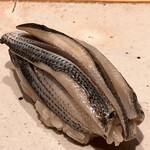 すしやのたい悟 - 小さな小肌さんでーす。