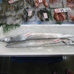 Marutomo Suisan Sengyo Ichiba - でかい太刀魚が市場にありました。