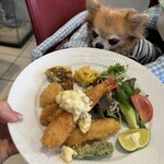 Dog Cafe Serendipity - 