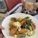 Dog Cafe Serendipity - 