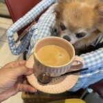 Dog Cafe Serendipity - 