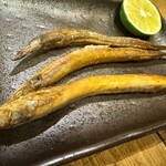 炉ばた 三光橋 - かなぎ