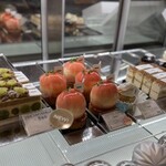 メゾン シーラカンス - ショーケース