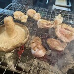 炉ばた 三光橋 - 砂ずり、なんこつ、ぼんじり、肉厚しいたけ