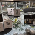 メゾン シーラカンス - ショーケース