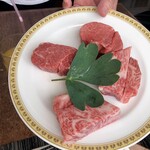 ステーキレストラン パポイヤ - 