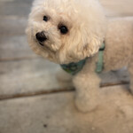 ALMARE sea terrace - 