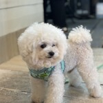 ALMARE sea terrace - 