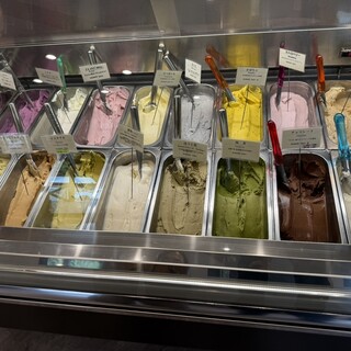 アケイシアファーム_1