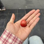 The Chocolate-Line - ラズベリーチーズケーキ