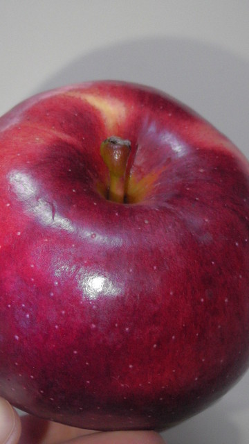 渡部りんご園 - 会津長野（その他）の写真