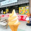 たこやき専門店　たこばやし　 西宮名塩サービスエリア店