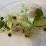 サバティーニ・ディ・フィレンツェ - ゲランドのミネラル塩でマリネしたアジのカルバッチョ
      胡瓜とミントのペースト 胡瓜とライムの冷たいグラニテを添えて