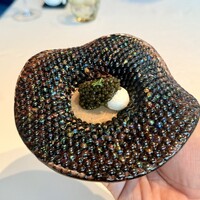 シグネチャー - 