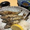 魚肴食堂 魚ふじ