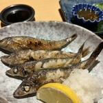 魚肴食堂 魚ふじ - 