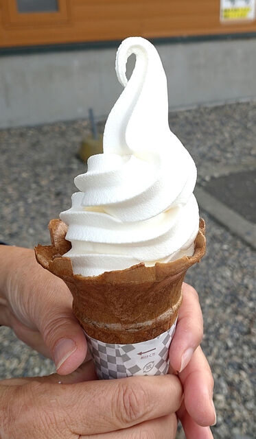 海野 北海道別海町】野付半島での野鳥観察や氷平線ウォークの魅力、人気の