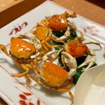 庄や 大井町店 - 