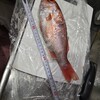 大昌 - 料理写真: