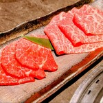 YORONIKU TOKYO AZABUDAIHILLS - ツチノコ(左)、しんしん(右)