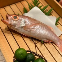 のどぐろ専門 銀座中俣 はなれ - 