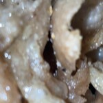 達磨さん家 - やきとり（皮･塩味）！