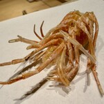 天ぷら北川 - 車海老頭