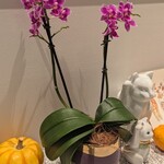 おかしやうっちー - 