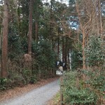 カフェ&ベーカリー とまり木 - 森の中。