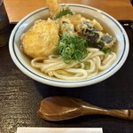 乃きや - 料理写真:天ぷらうどん（温）