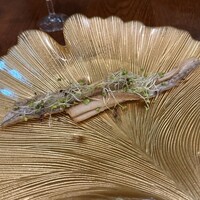ジンジャーズビーチ サンシャイン - 