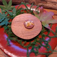 ristorante DONO - 